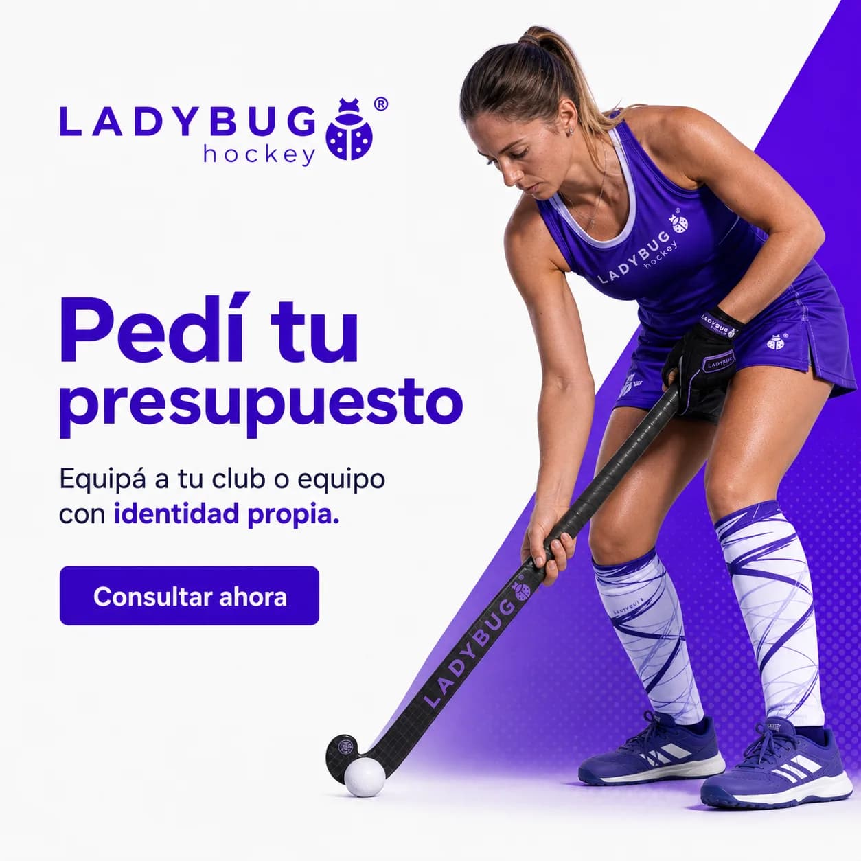 LADYBUG Hockey presupuesto para equipos